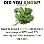 coriander health benefits.jpg