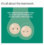 it-all-about-teamwork-35-funny-teamwork-memes.jpg