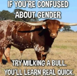 1716631605241.png