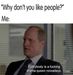 1742057268881.png