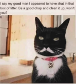 1751729781071.png